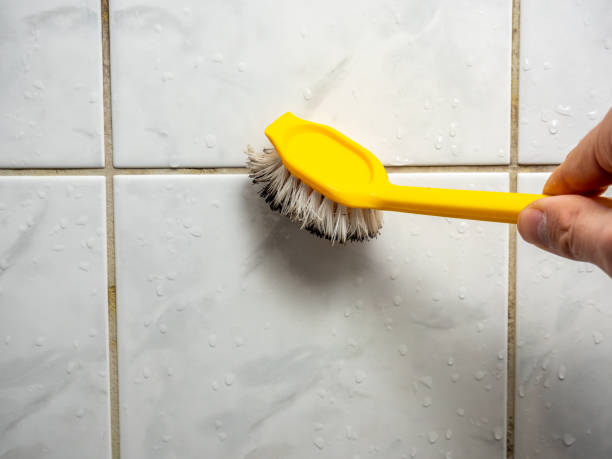 Best Commercial Mold Removal  in Willis, TX